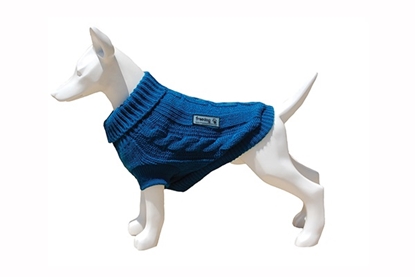 Picture of FREEDOG SWEATER NATURE